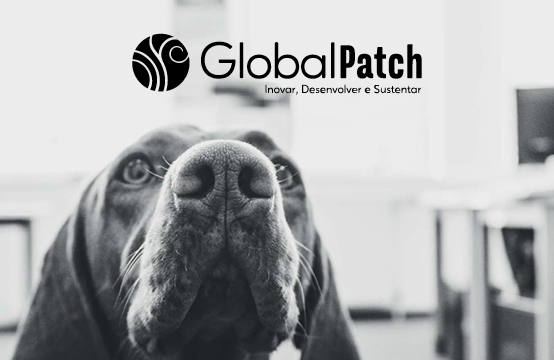 Aquisição HLS - GlobalPatch